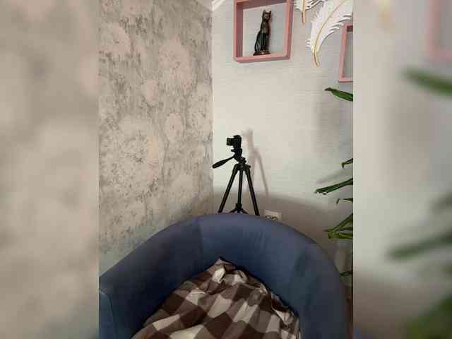 _BASTET_ webcam