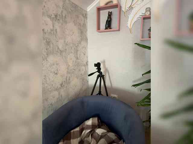 _BASTET_ webcam