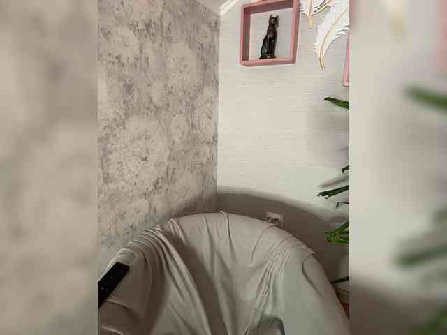 _BASTET_ webcam