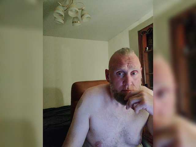 snezhnyj_kot