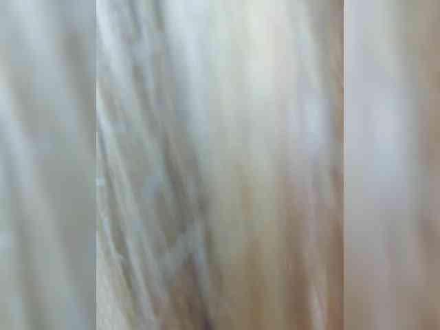 MilaSavory webcam