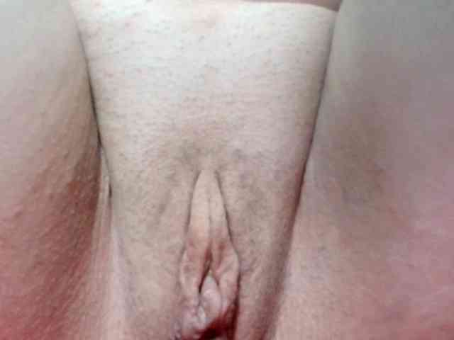 korolek50 webcam