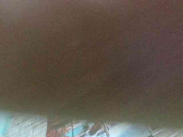 korolek50 webcam