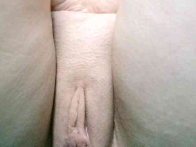 korolek50 webcam