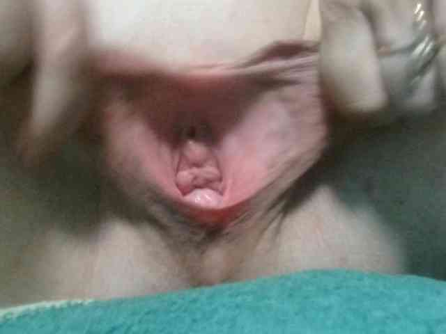 korolek50 webcam
