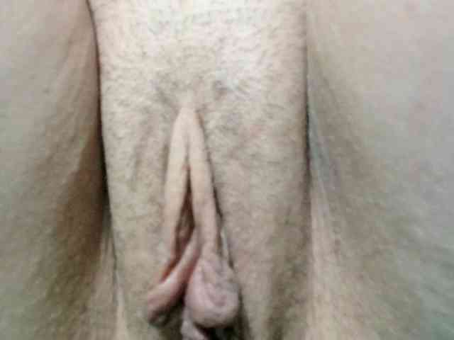 korolek50 webcam