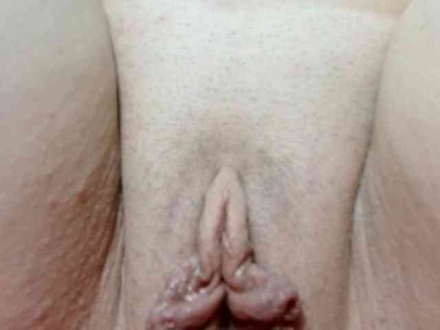 korolek50 webcam