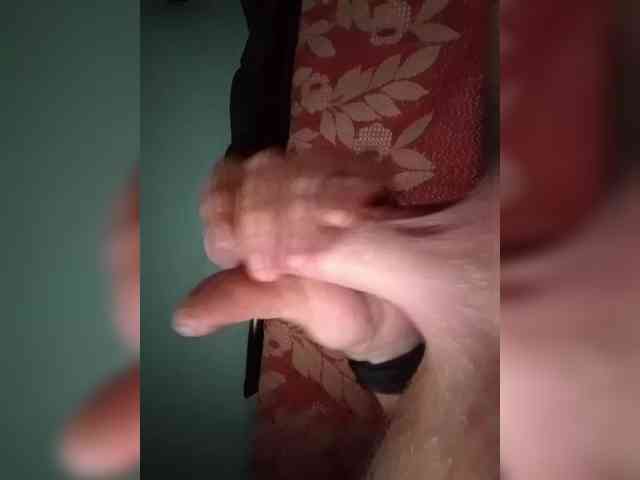 Chlen69096