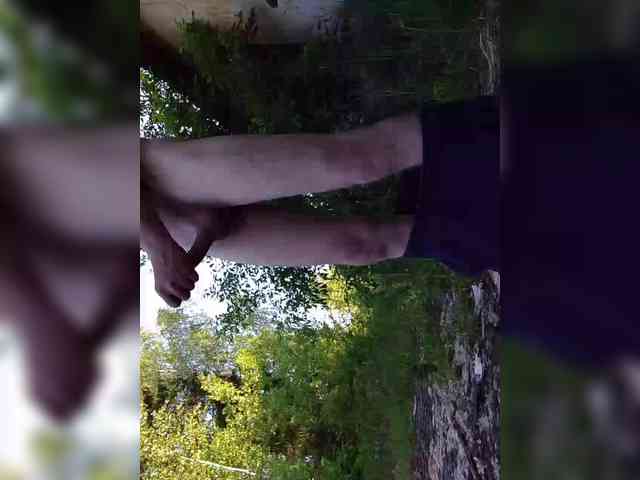 Chlen69096