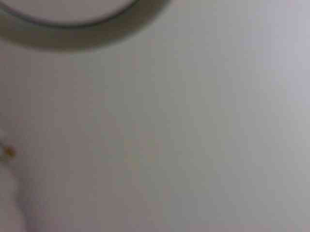 SandyMoon webcam