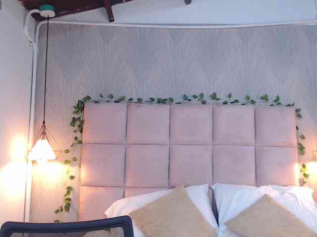 ALEXXA-CURVY webcam