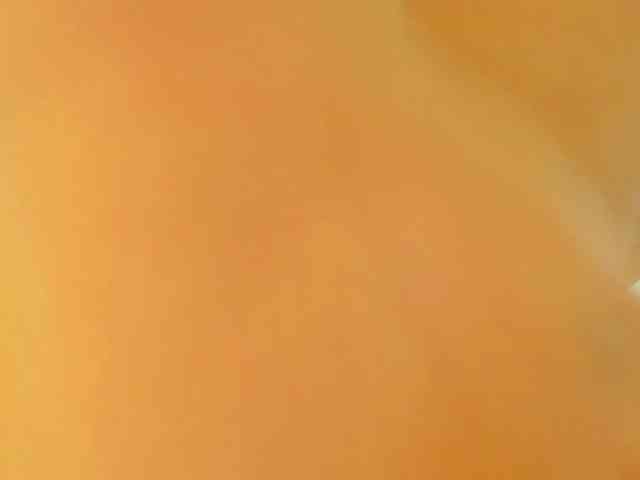 Luana-wilding webcam