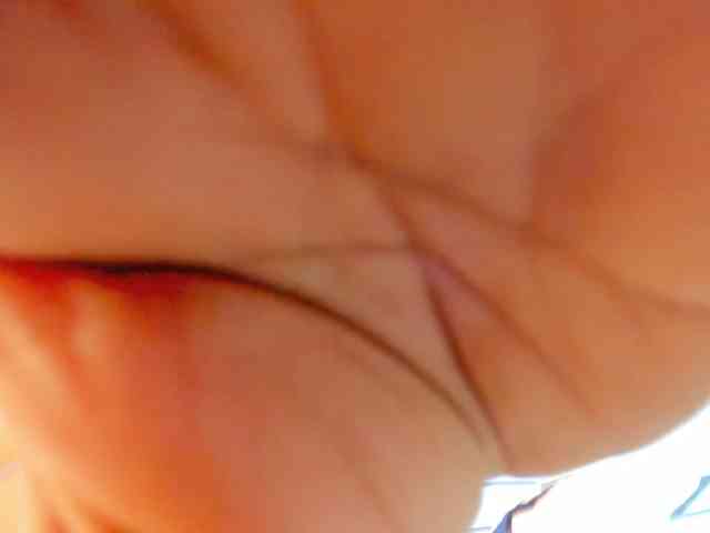 Luana-wilding Luana-wilding