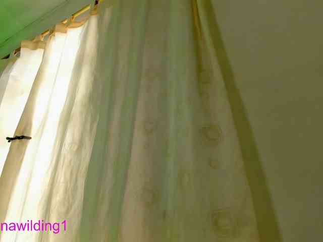 Luana-wilding webcam