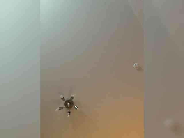 -Ruu- webcam