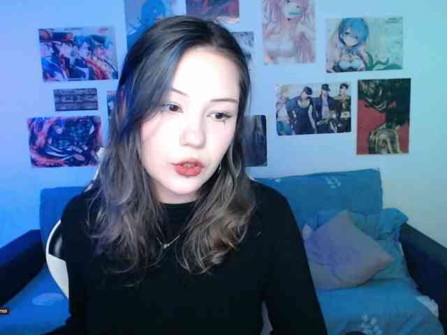Hugo-Min webcam