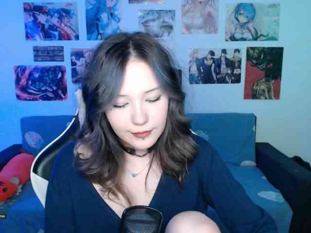 Hugo-Min webcam