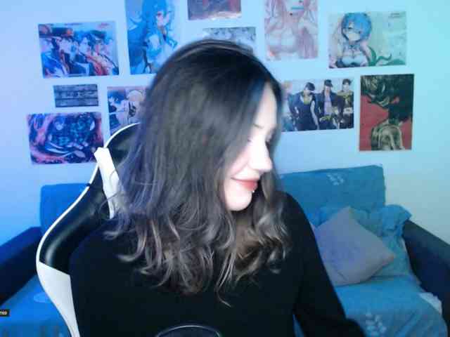 Hugo-Min webcam