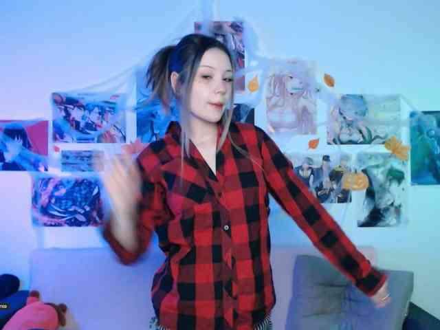 Hugo-Min webcam