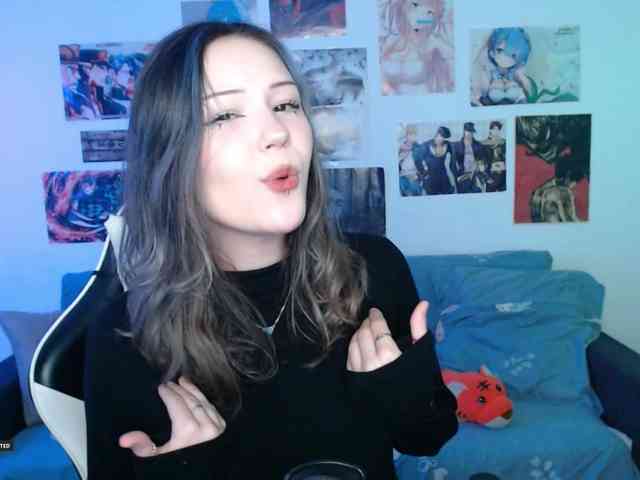 Hugo-Min webcam