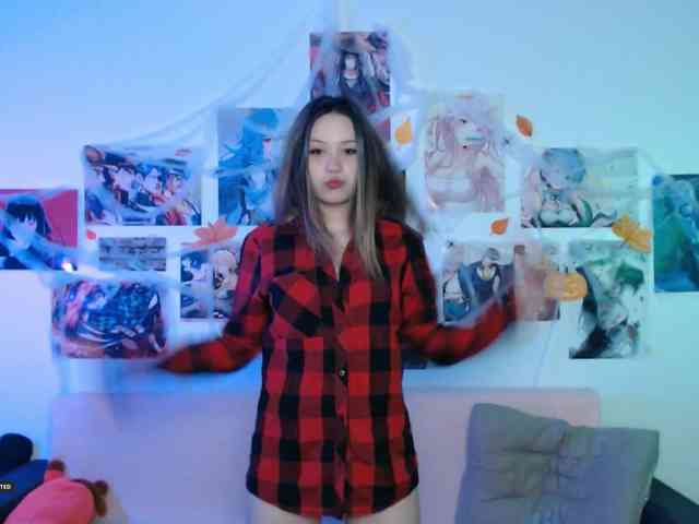 Hugo-Min webcam