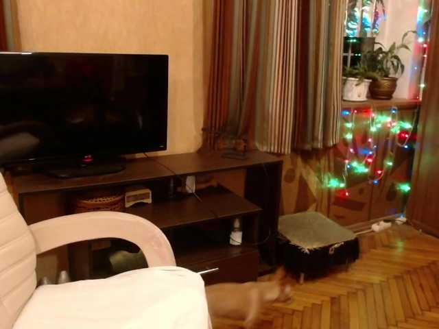 NormaGin's BongaCams show and profile