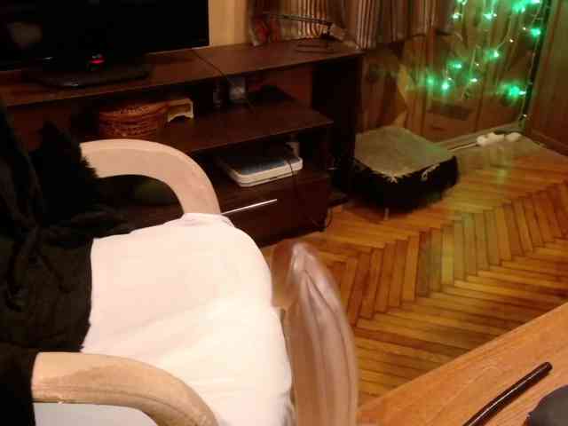 NormaGin webcam