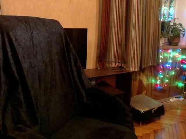 NormaGin webcam