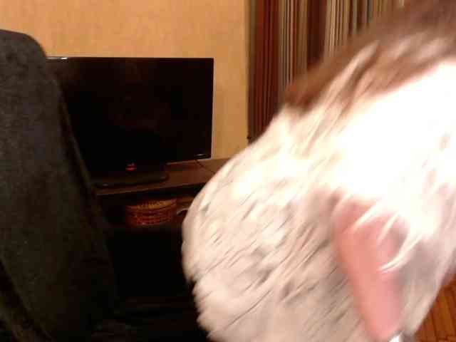 NormaGin webcam