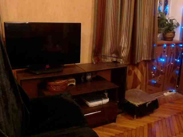 NormaGin webcam
