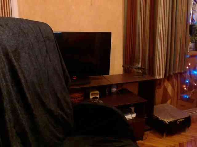 NormaGin webcam