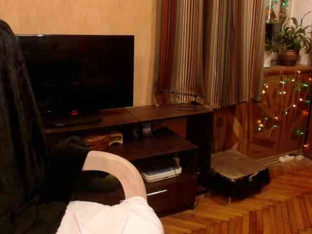 NormaGin webcam