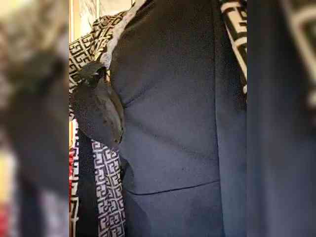 Innokentiy449 Live Webcam on BongaCams