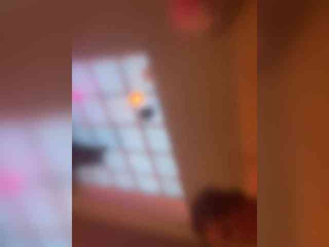 AlexisTFoxXx webcam