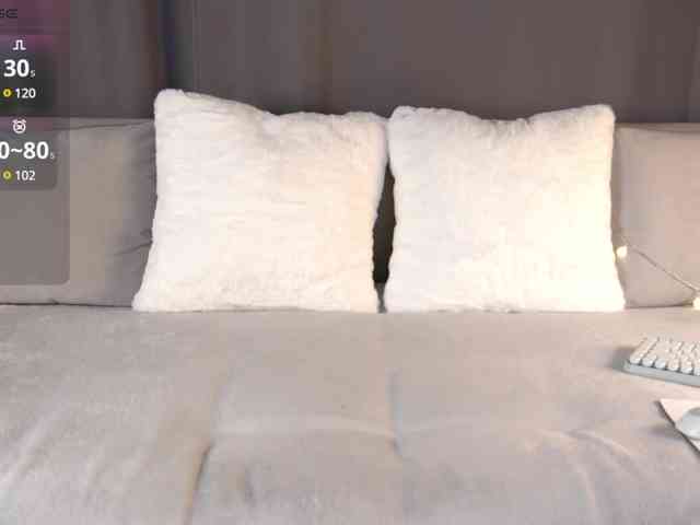 foosteer webcam
