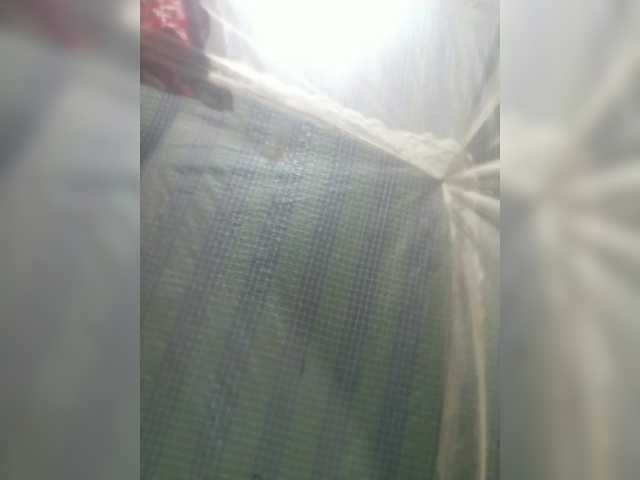 princillah1's BongaCams show and profile