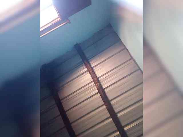 princillah1 webcam