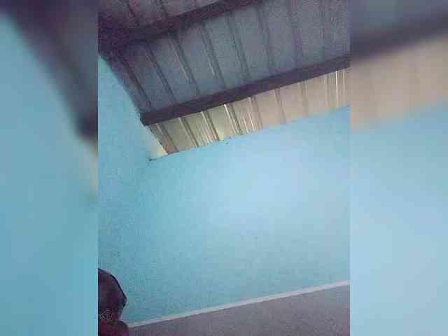 princillah1 webcam