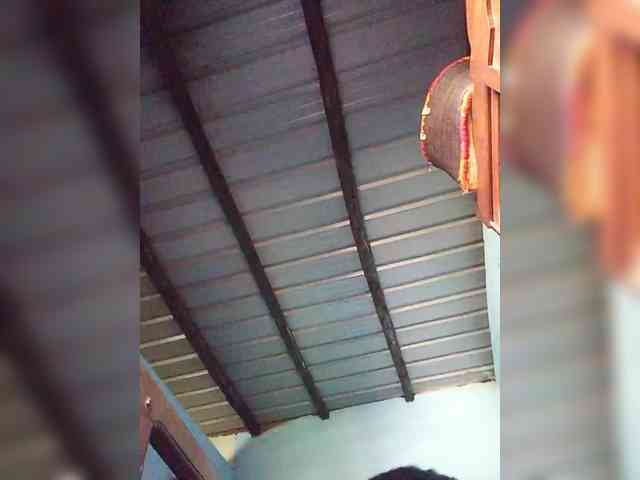 princillah1 webcam