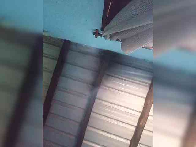princillah1 webcam
