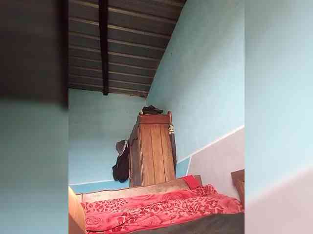 princillah1 princillah1