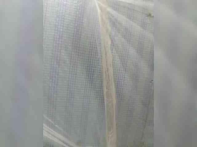 princillah1 princillah1