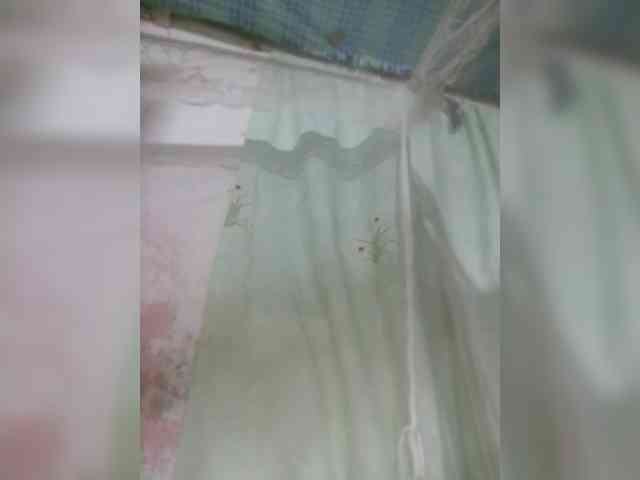 princillah1 princillah1