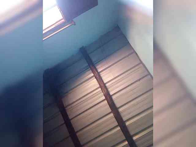 princillah1 webcam