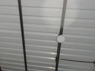 candylovet Porn Show