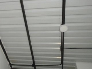 candylovet Porn Show