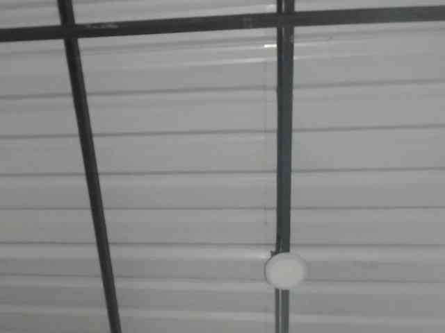 candylovet candylovet