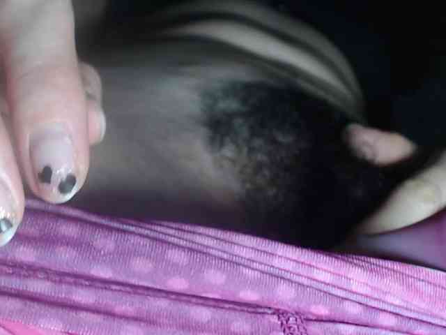 candylovet webcam