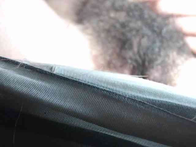 candylovet candylovet