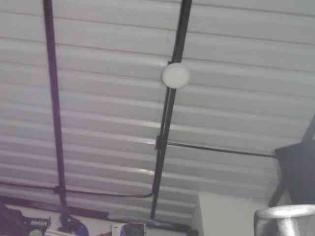 candylovet candylovet